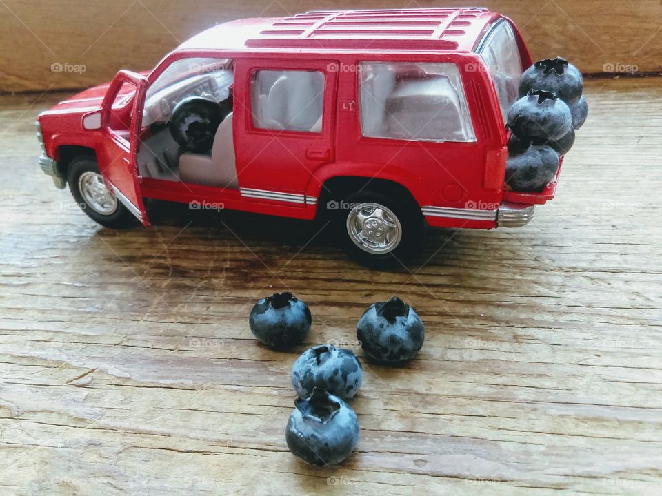 Cute Blueberry Snack