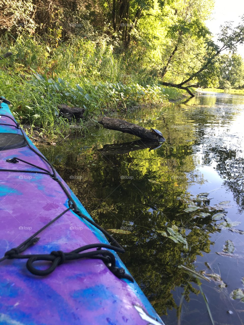 Scenic view of kayak on river