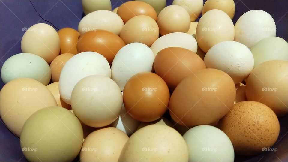 Ovos de galinhas caipiras.