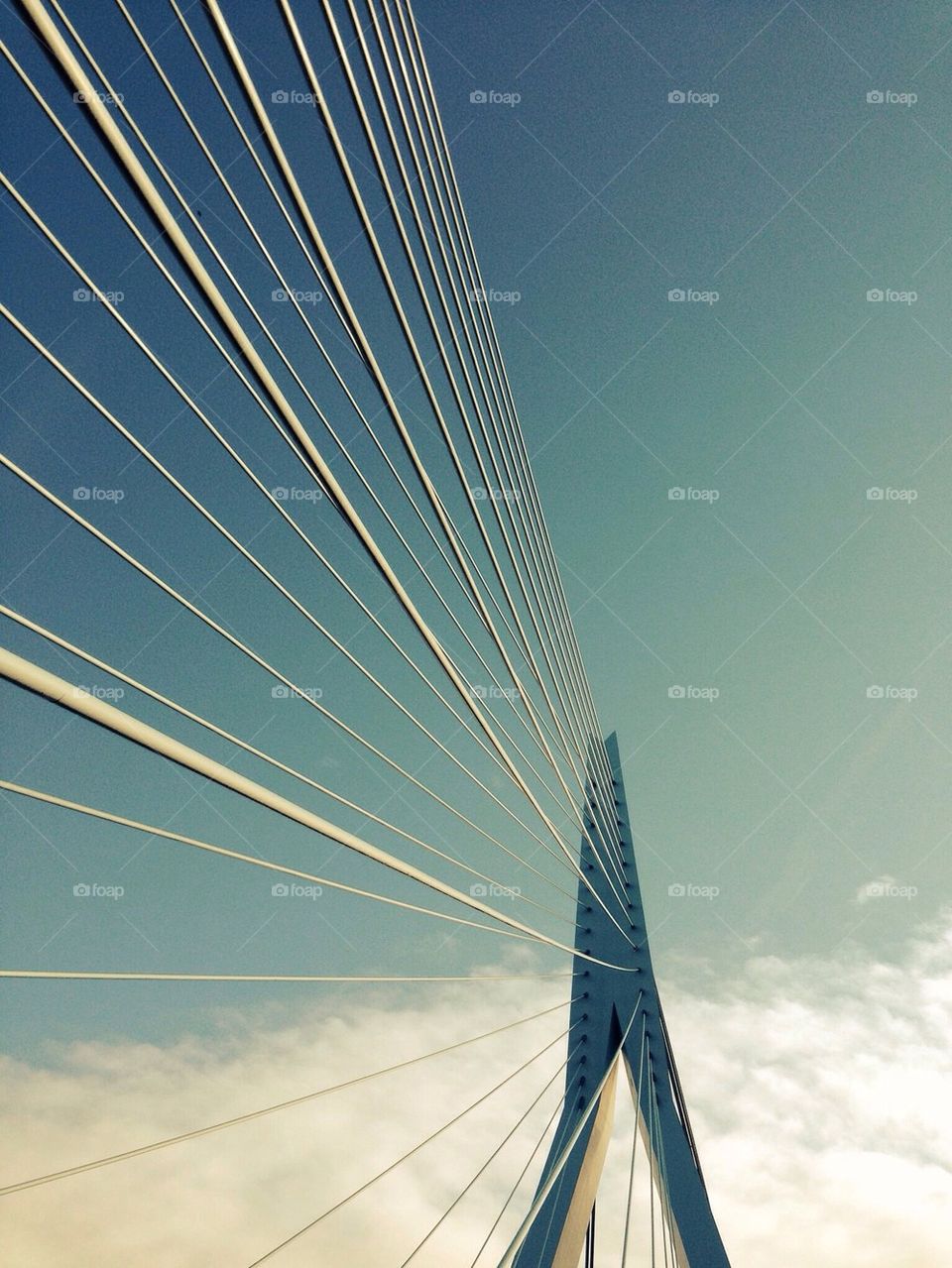 Rotterdam Erasmus bridge