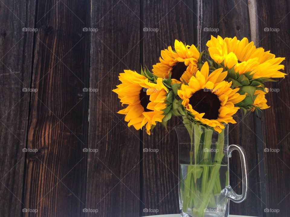 Sunflowers in a vase