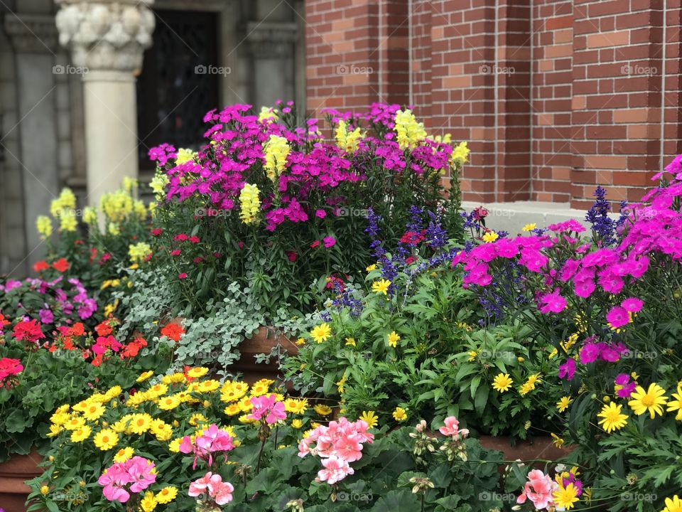 Beautiful flowers with pillar 