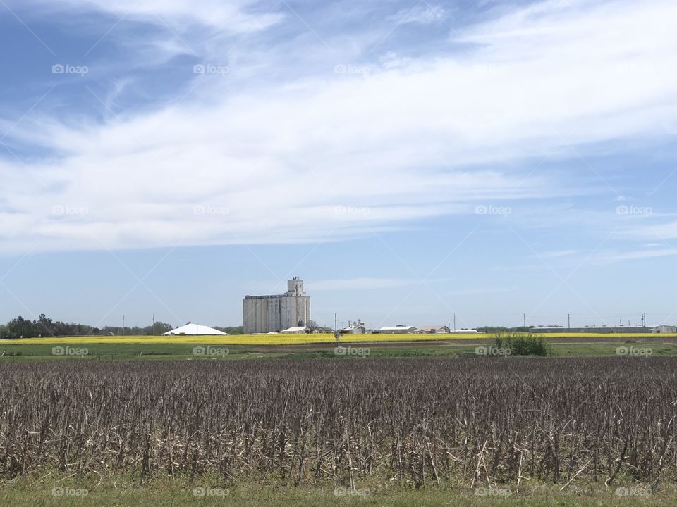 Grain elevator near small town