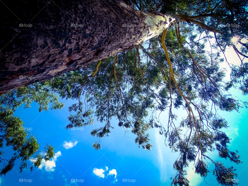 how much do you like this photo