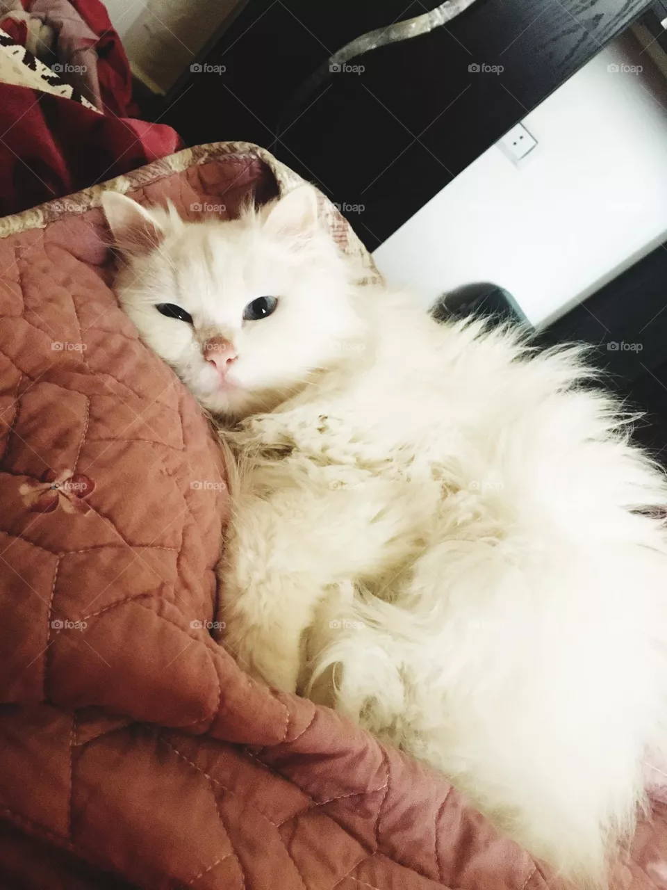 sleeping 