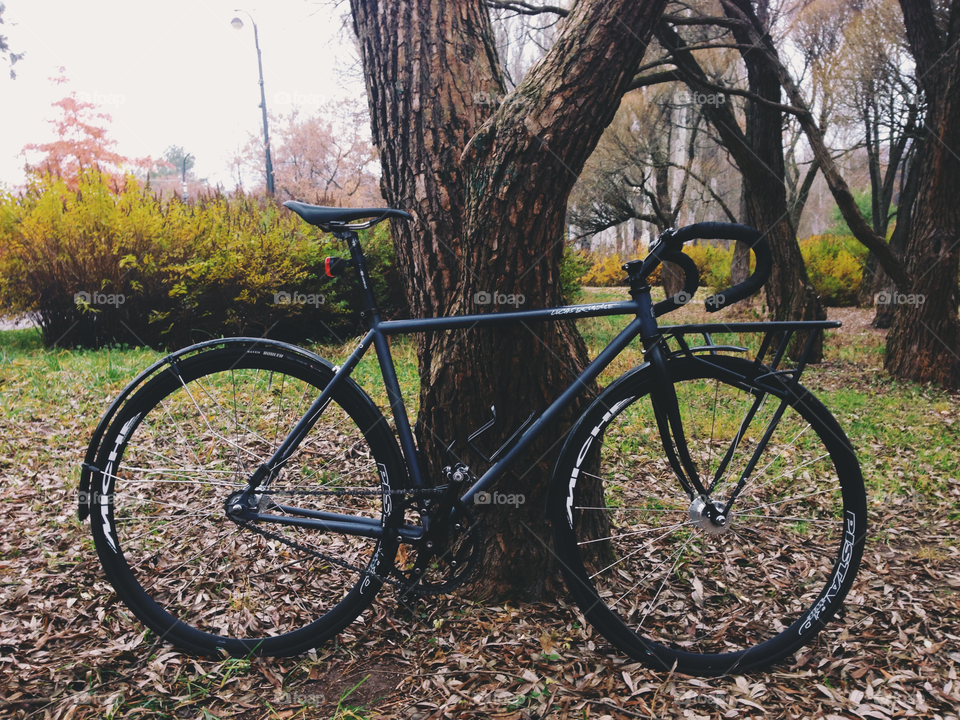 Grayish-black brakeless fixie bicycle standing near the tree in autumn park in Moscow