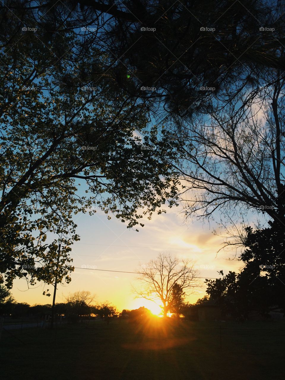 Dawn, Landscape, Sunset, Sun, Tree