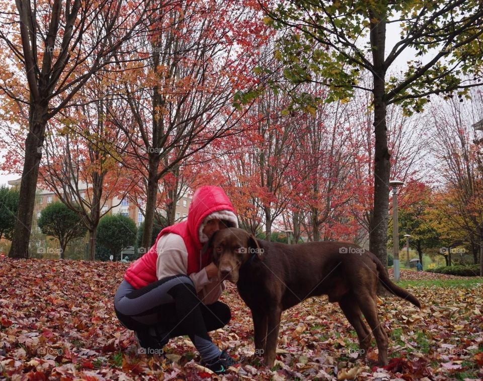 Autumn#nature#leaves#colors#dog#trees#season#human