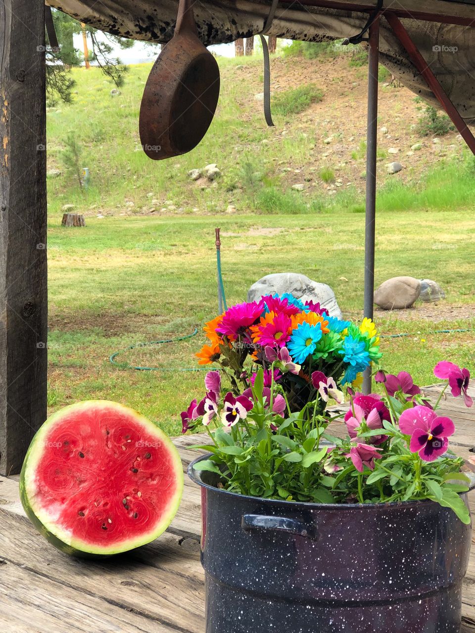 Juicy watermelon at picnic