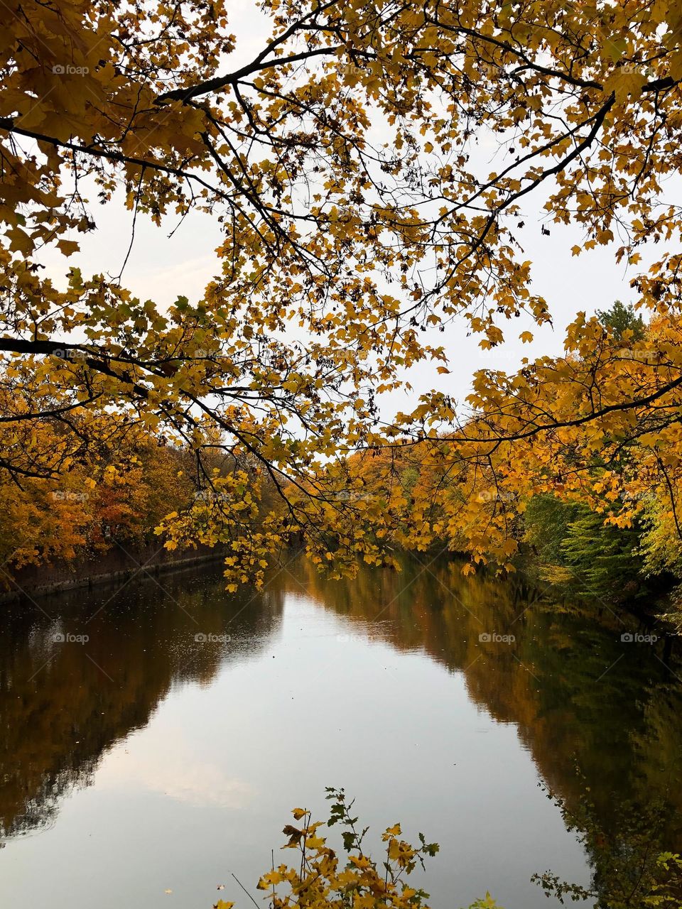 Beautiful autumn view 