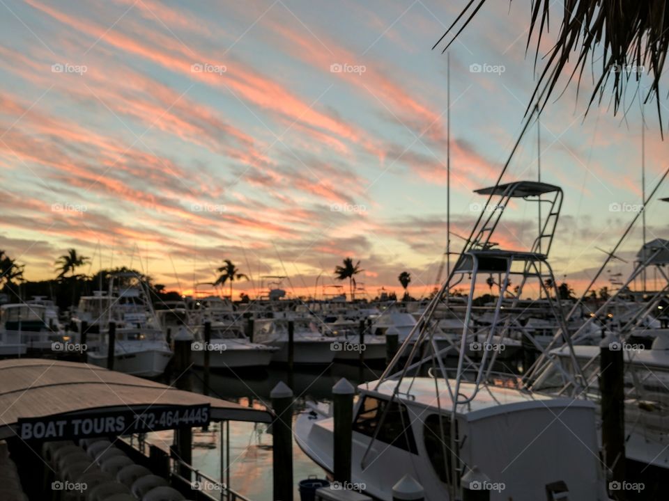 beautiful sunset over boats at the marina with a few palm trees in the background