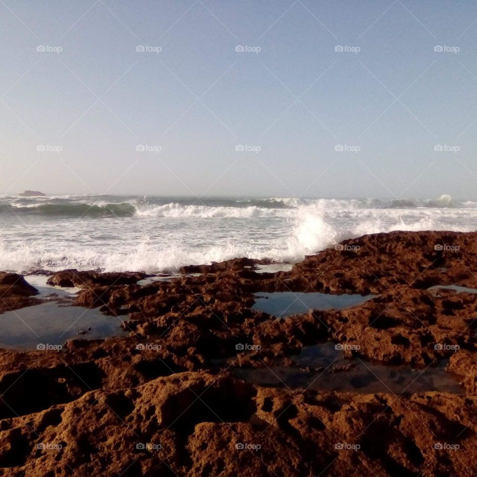 How much this photo ?