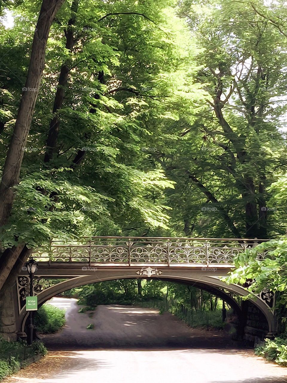 Bridge 24 - Central Park, New York City. Instagram,@PennyPeronto