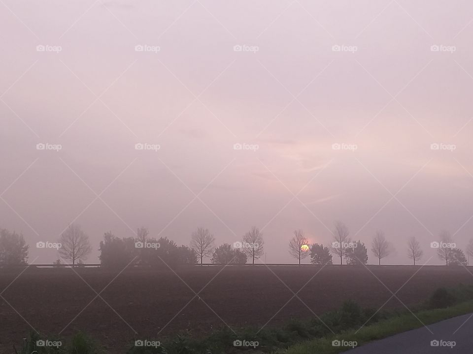 lever du soleil dans la brume