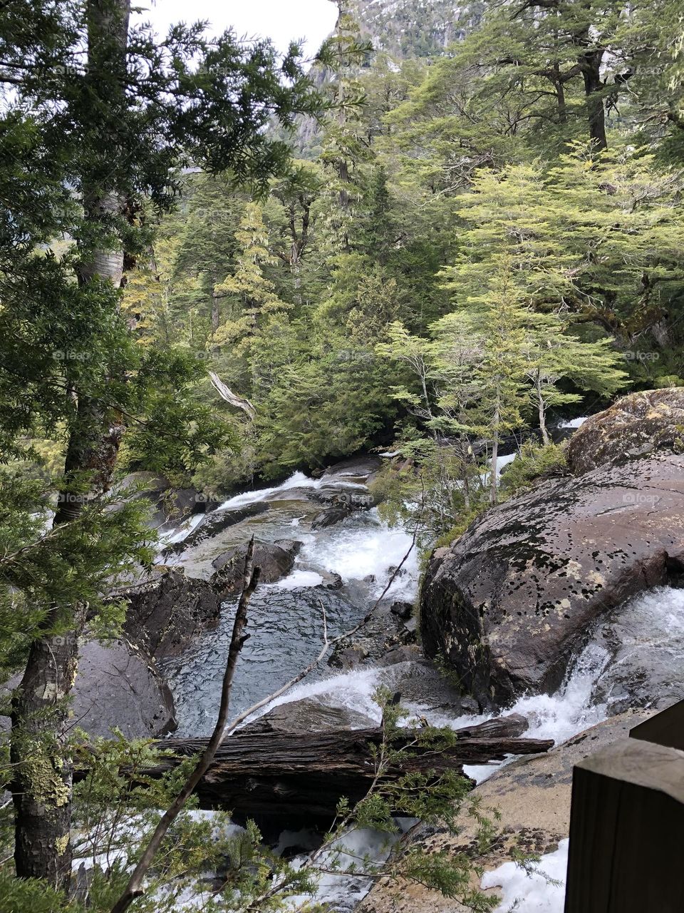 Bariloche Cascada Agua Refrescante Arboles Piedras Caminata Vacaciones Deshielo Sur