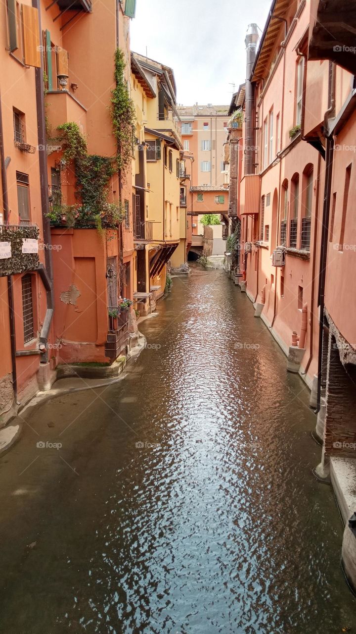 Bologna