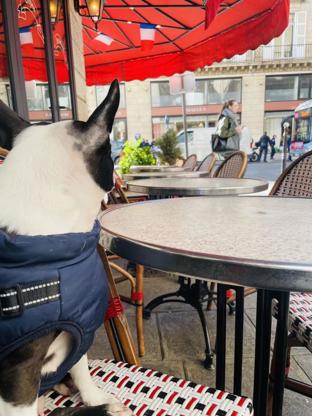 Café Parisien 