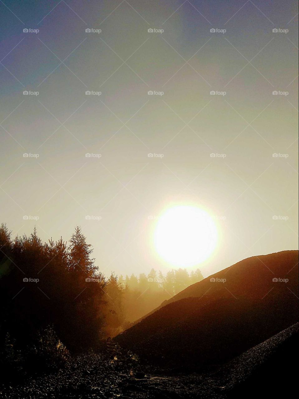 sunlight in september