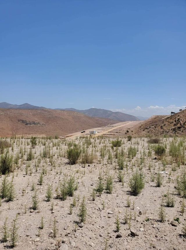 cerro