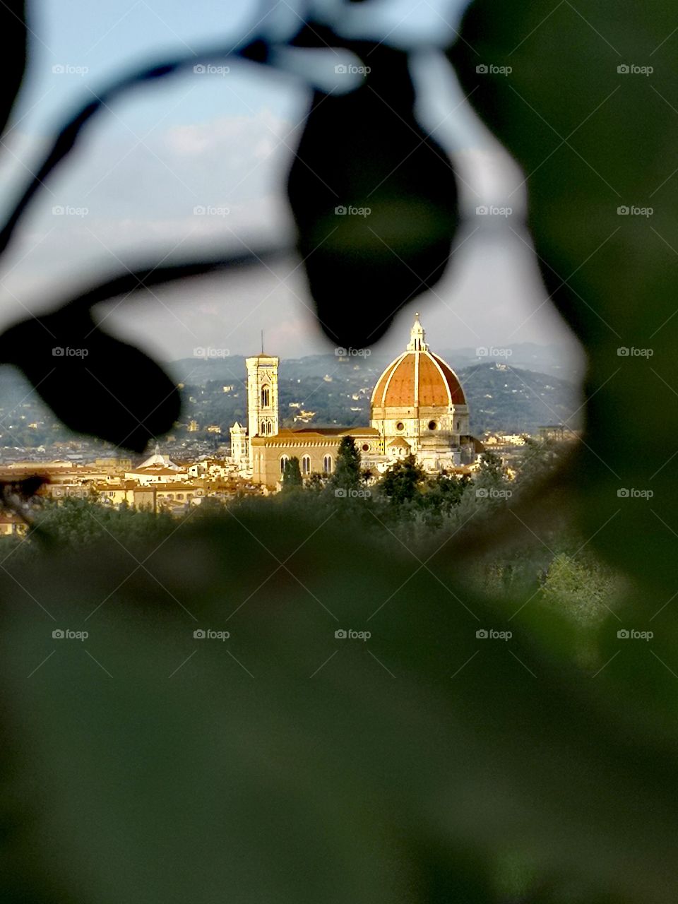 Dome behind the hedge