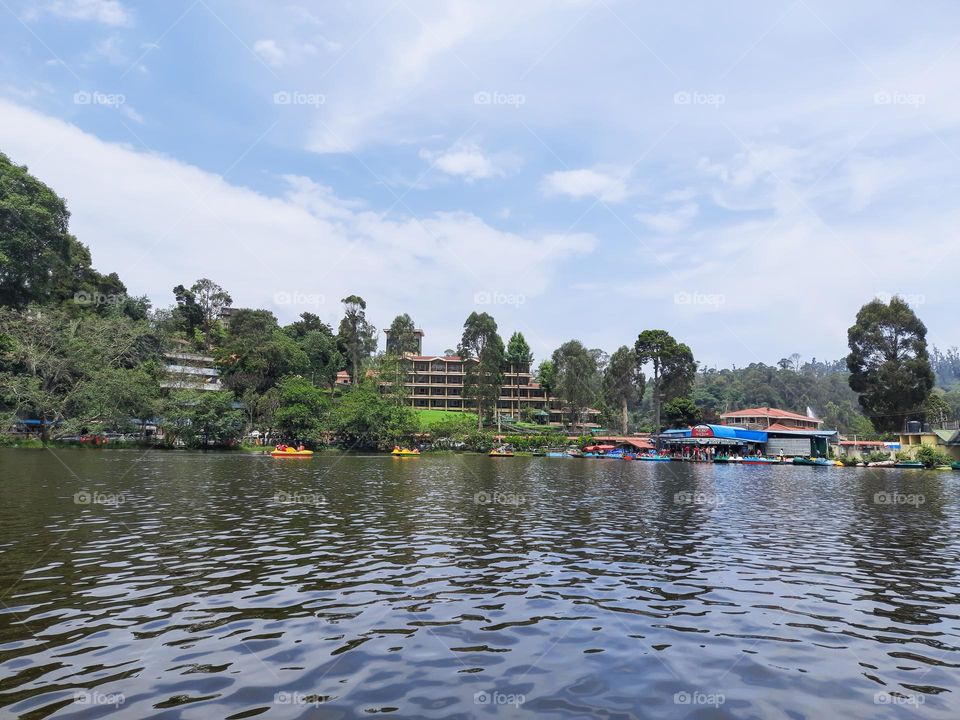 urban Nature - Water