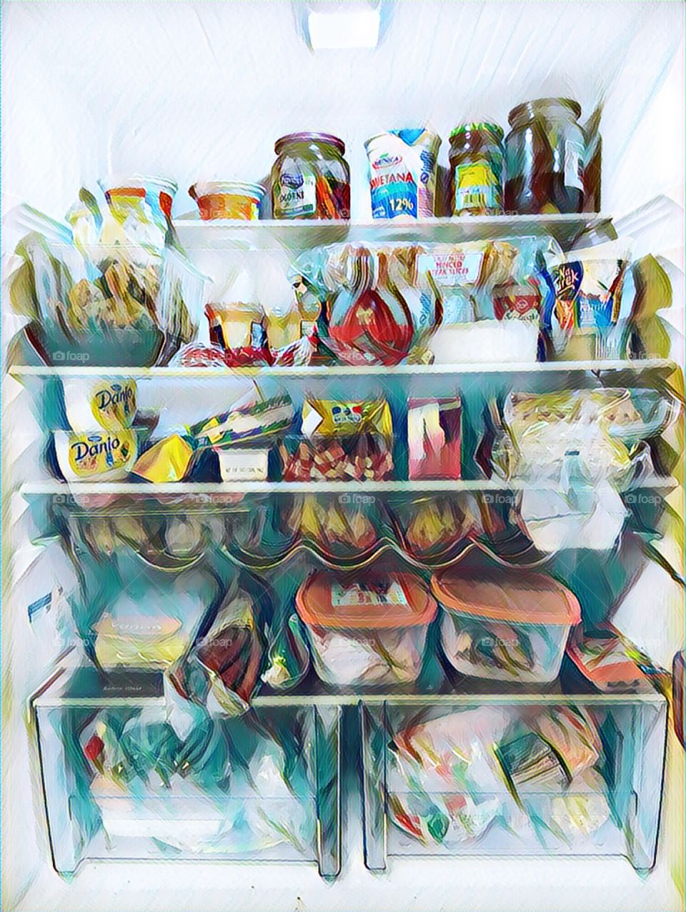 The fridge 