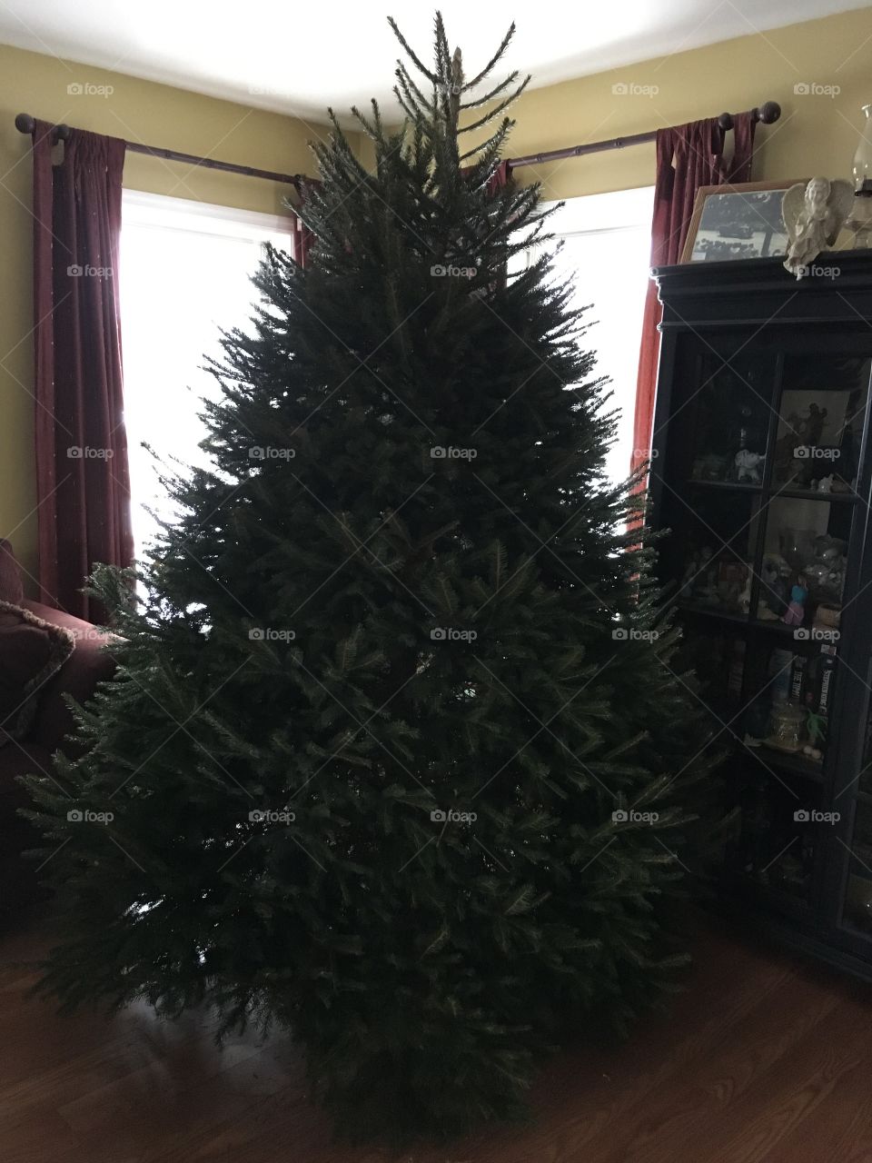 Our Christmas tree 