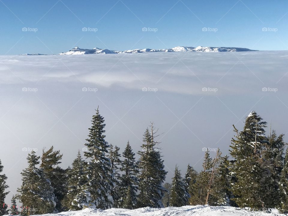 Fog over sierras 