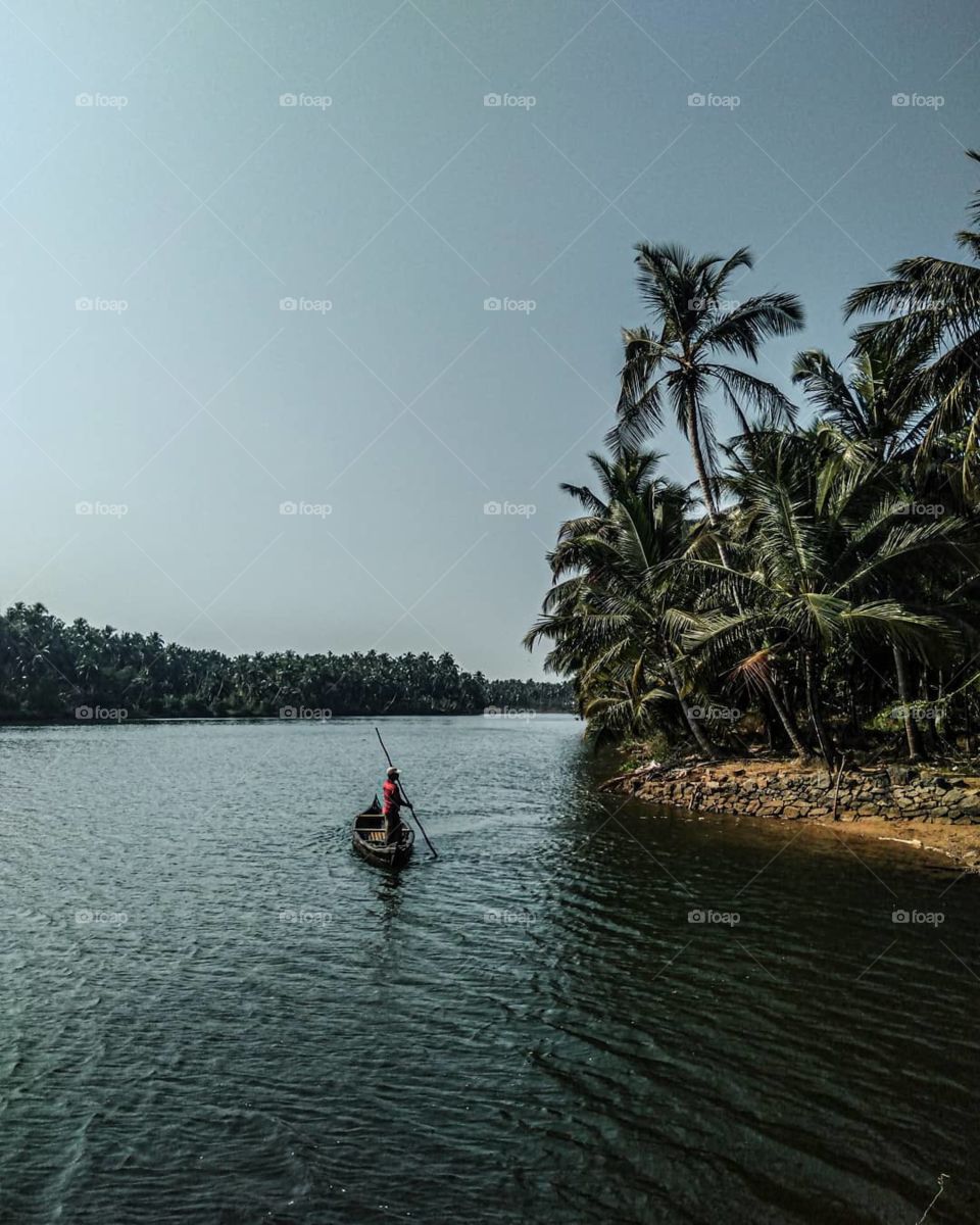 keralas natural scenary