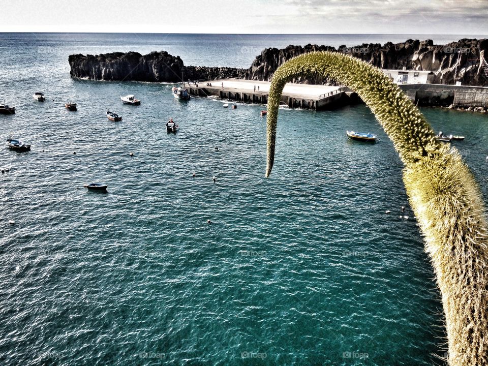 sea in câmara de lobos