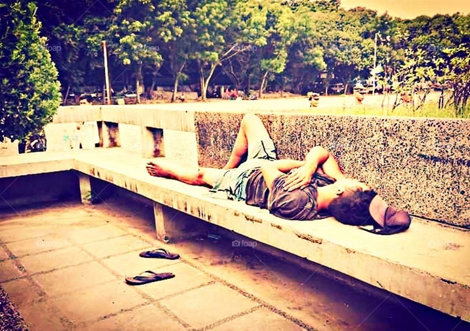 Man Sleeping at the Park