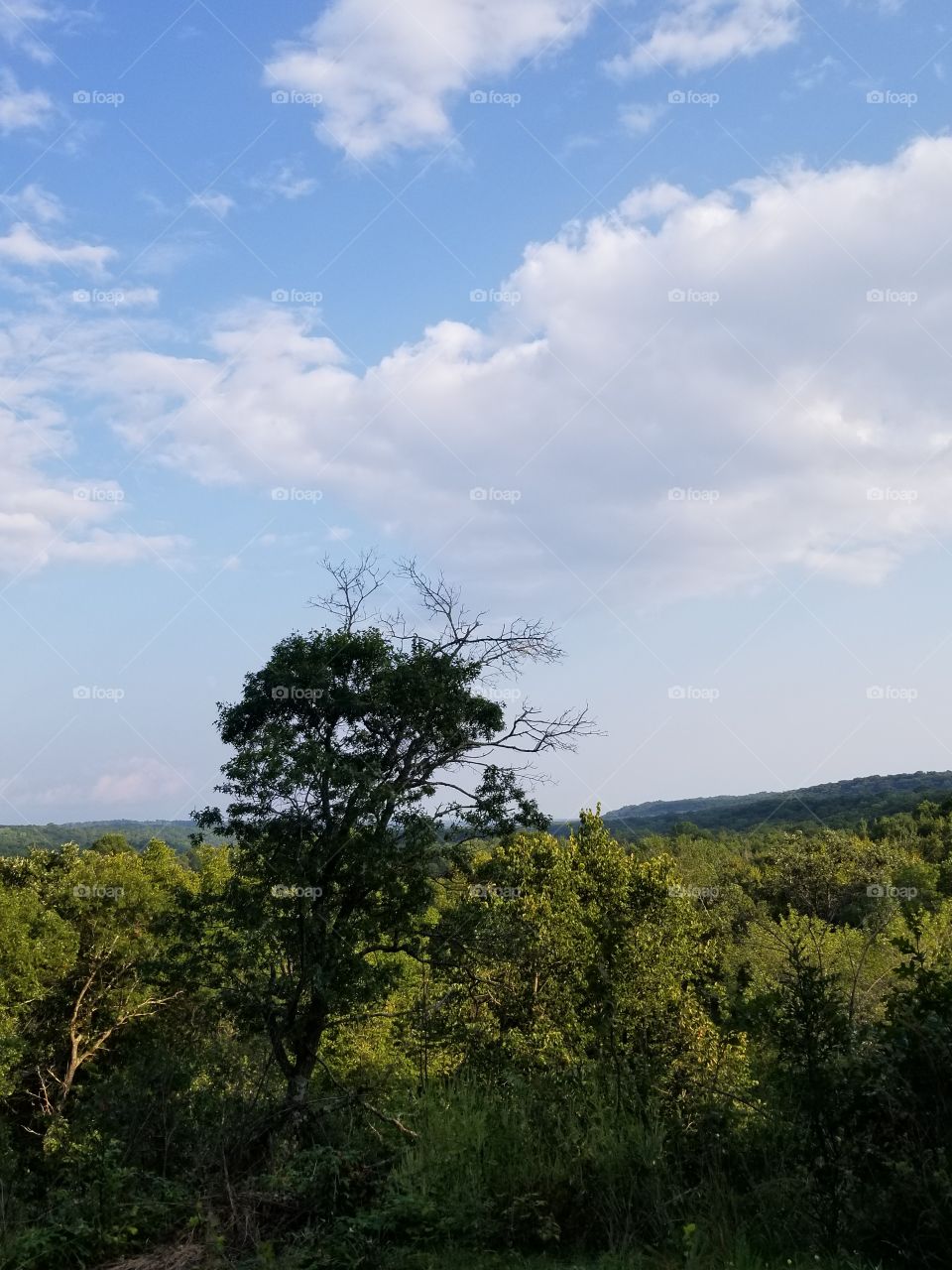 Looking over the river valley