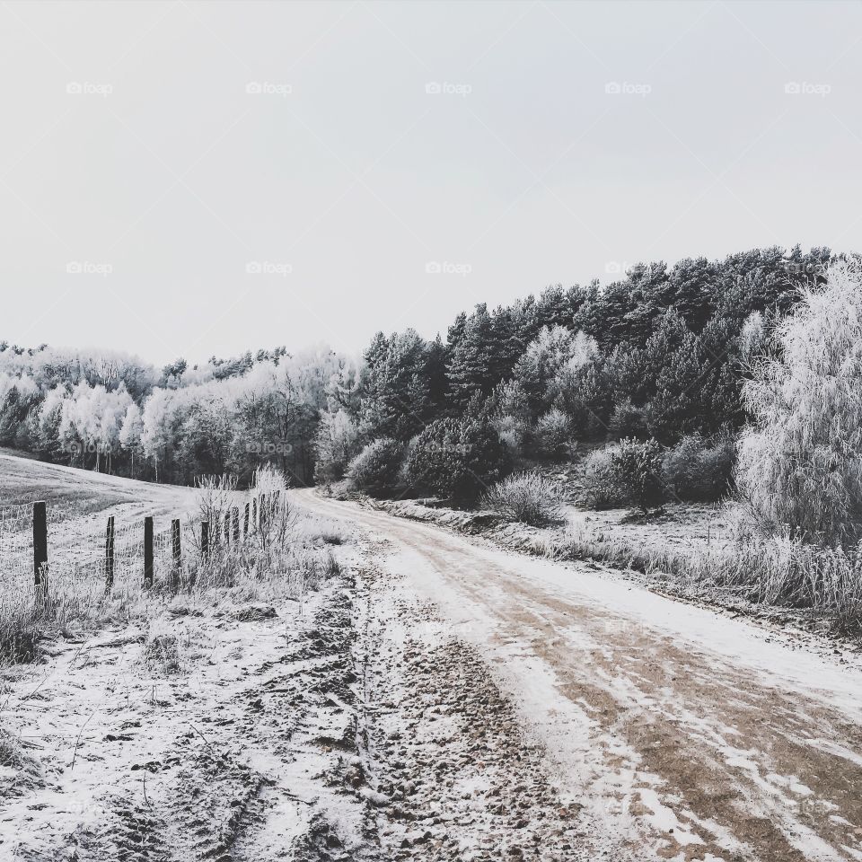 View of winter landscape