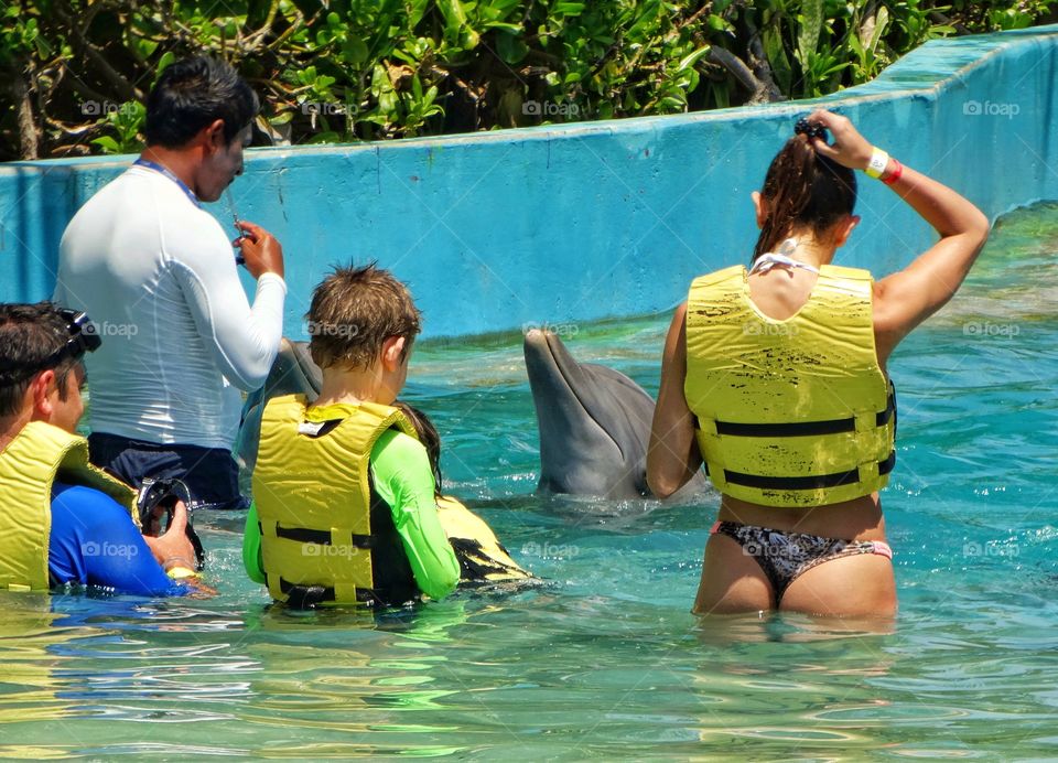 Swimming With Dolphins