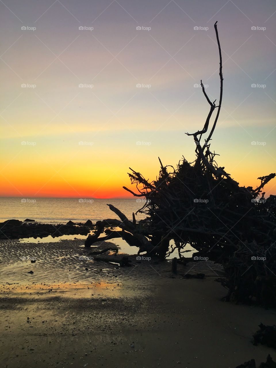 Sunset, Beach, Dawn, Landscape, Water