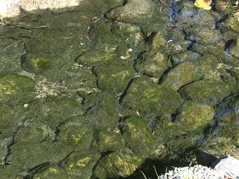 Rocks in a stream