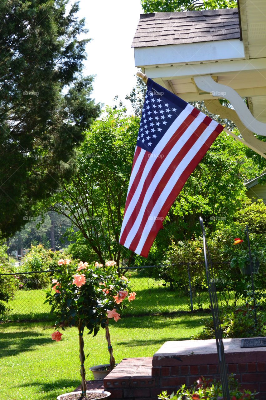 Old Glory. Old Glory in the spring