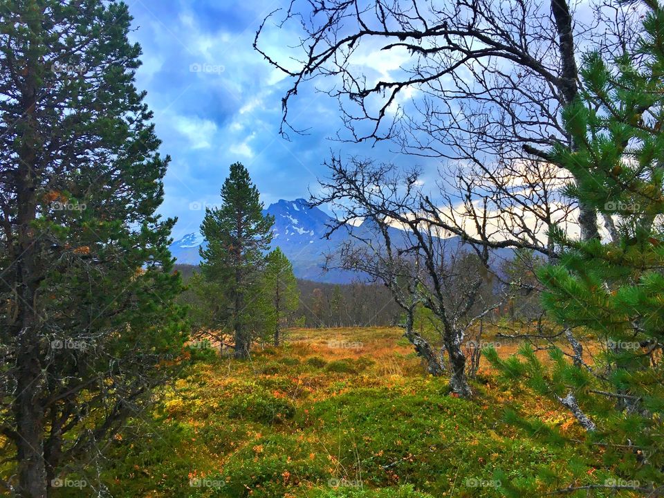 Capture of the mountain Sovende Dronning, in behind