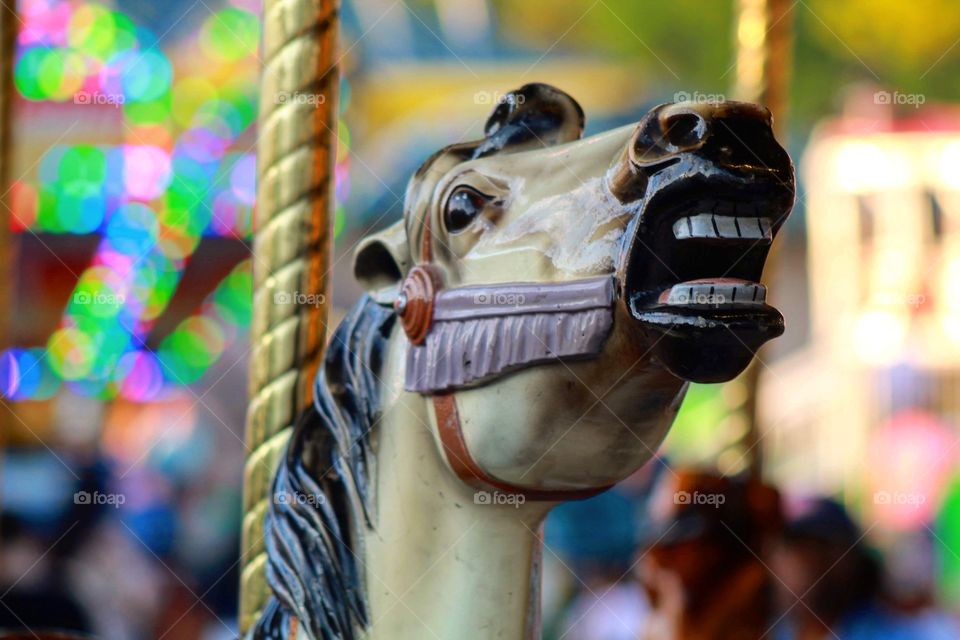 carousel horse