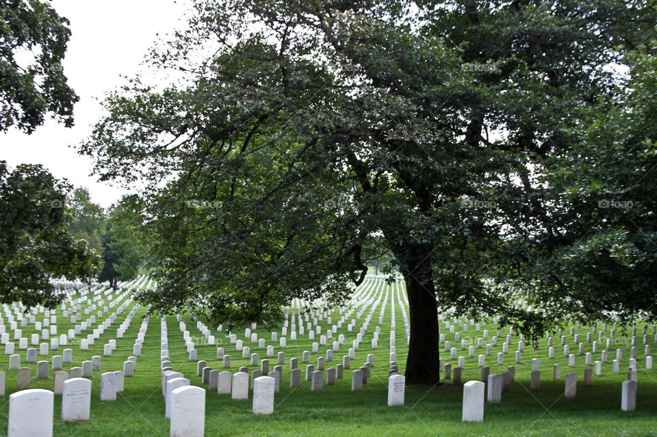 landscape national cemetery washington by hollyau92