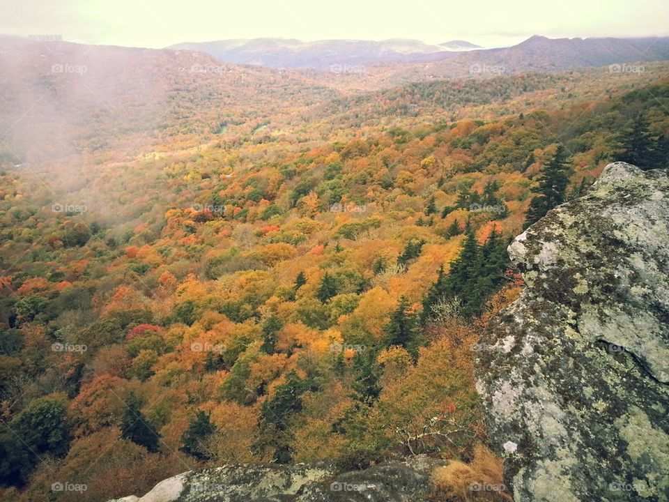 rocky autumn view