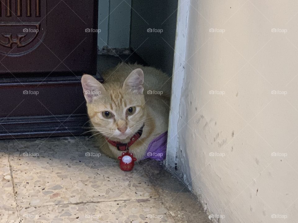 Knoc knoc who’s that 