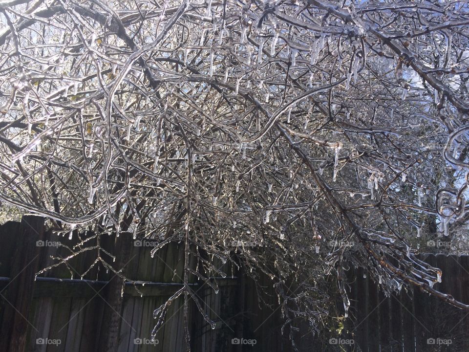 Crystal clear winter 