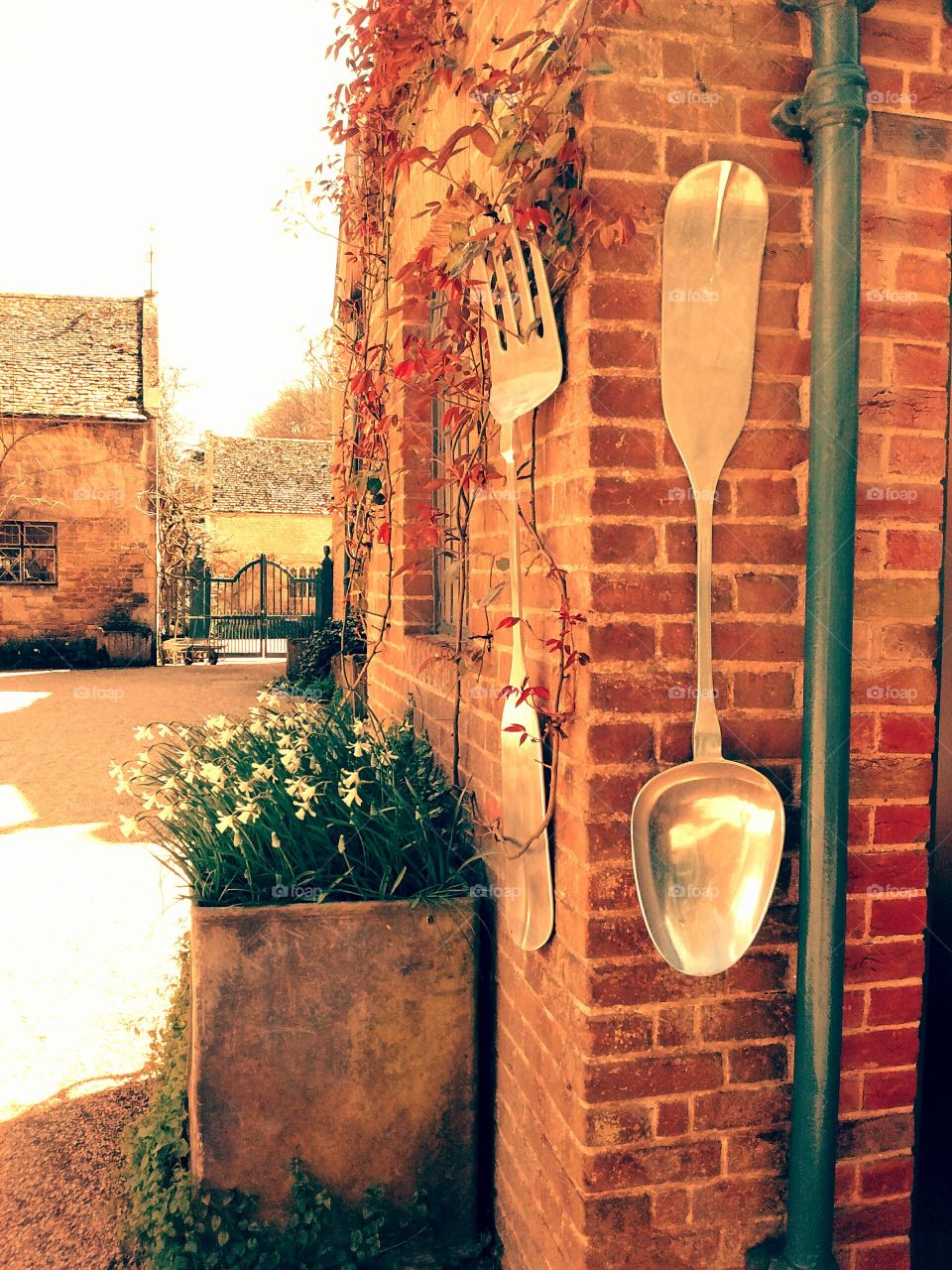 kitchen cafe restaurant