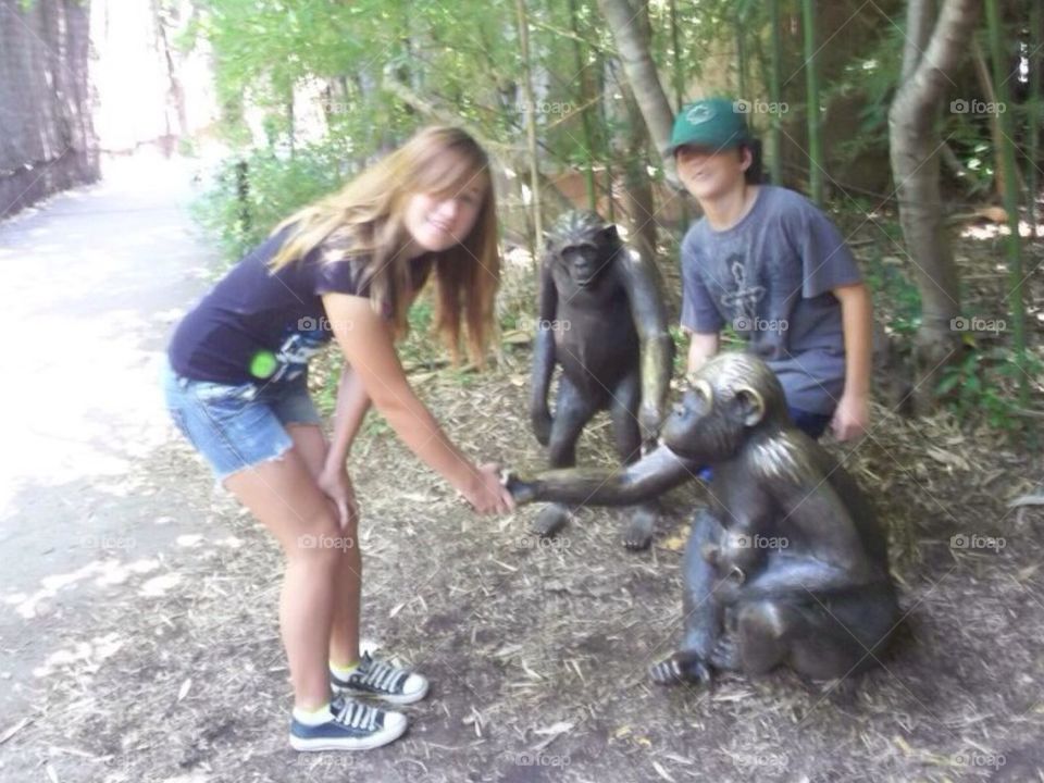 Playing with the gorillas