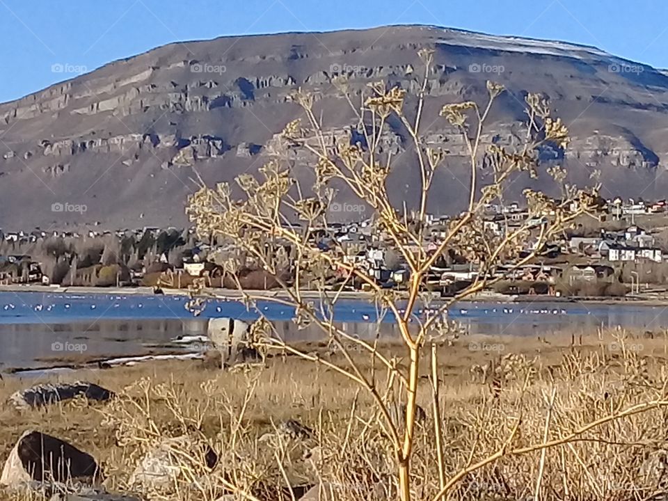 Cerró Calafate