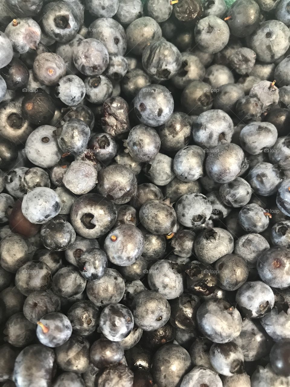 Blueberries