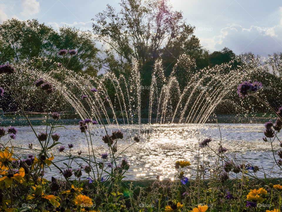 fountain