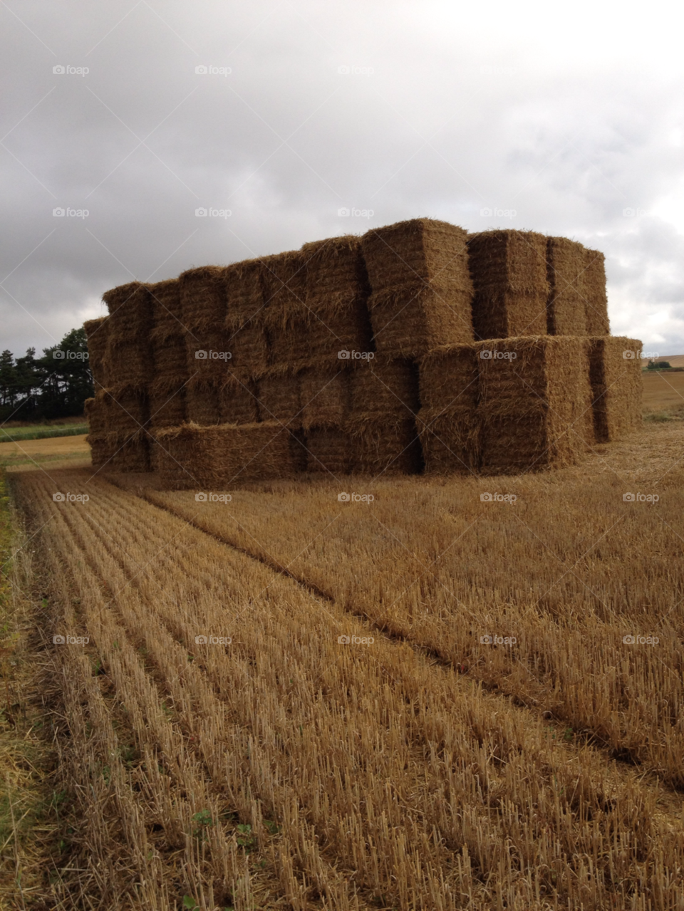 haybales autumn. country grey by liselott