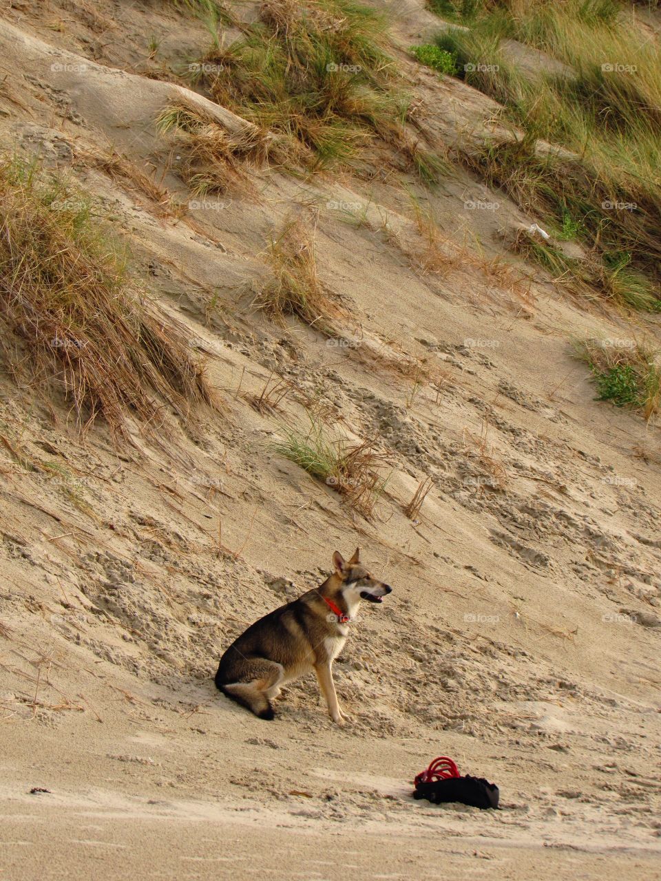 On the beach